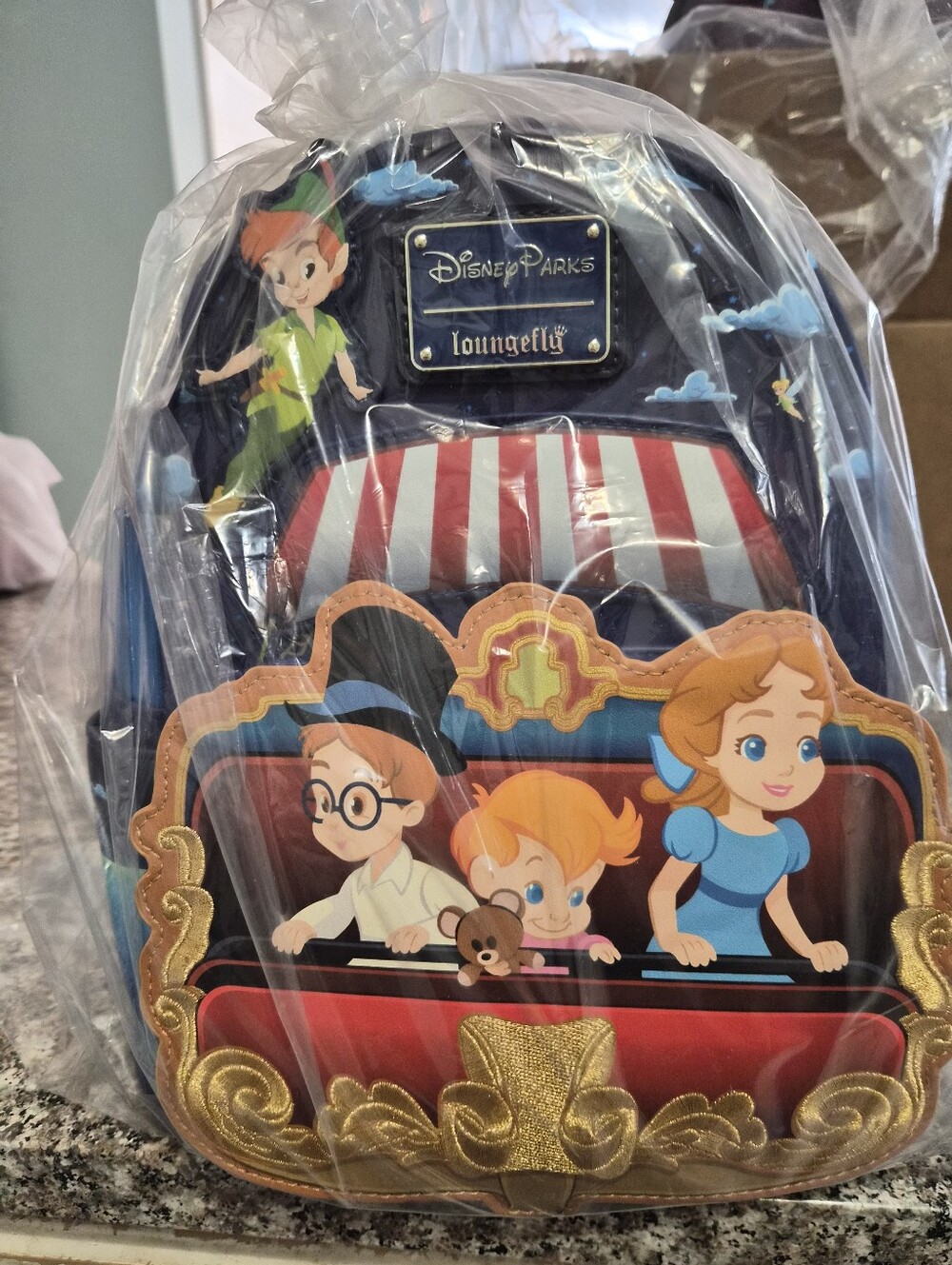 Disney Loungefly Peter Pan Portrait Navy Blue & Red Mini Backpack